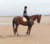 plage17.JPG (101474 octets)