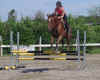 saut12.jpg (325032 octets)